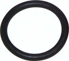 H301.4874 O-Ring für Gartenschlauch Pic1